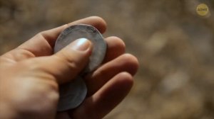 Ученые разбудили замороженное животное, возрастом 24 000 лет