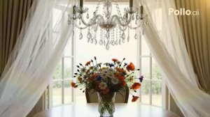 Вольный ветер