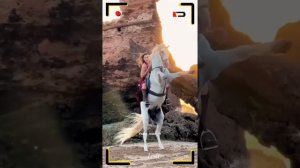 Гордая мадам.