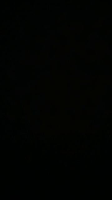 13:37 16.03.26 Общество Недееспособных