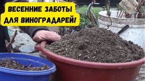 МАРТОВСКИЕ ЗАБОТЫ ВИНОГРАДАРЯ!