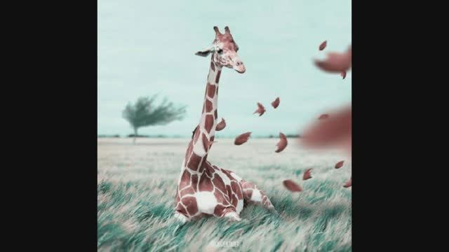 Знакомство с творчеством Жюльен Табет