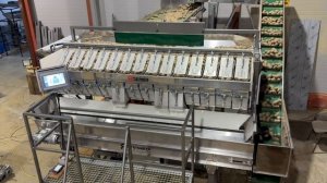 Работа 14-канальной весовой станции SEMER. Испытания перед отгрузкой.