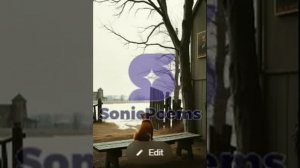 Сергей Есенин — Возвращение на Родину (вар2)