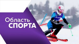 Область спорта №353