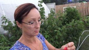 Видео привет с 6 соток 12 августа 2021 года