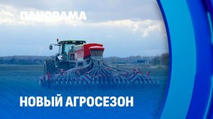 Юго-восток Беларуси выходит в поле: старт подготовки почвы, подкормки озимых и сева зерновых
