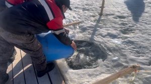 copy_13CF0589-6249-49A9-A80B-3F10FD32079C