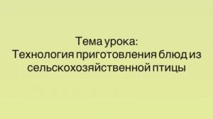 641, УП, 17.03.2026 - Продолжение темы «Технология приготовления блюд из птицы»