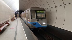 Метро Москвы красивая кроссплатформенная станция метрополитена Петровско-Разумовская и поезд ОКА