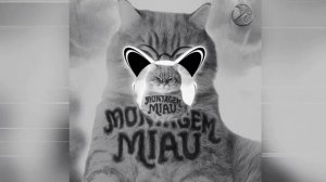 LENAR-MONTAGEM MIAU ULTRA SLOVED