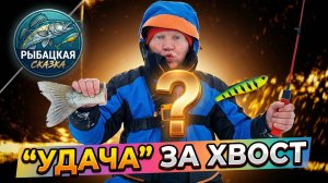 Рыбалка на судака. Взял за хвост. Удача или провал?