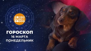 Гороскоп на 16 марта. Доброе утро. Фрагмент выпуска от 16.03.2026