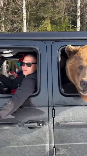 Видео от Департамент Вирусного Контента | ДВК