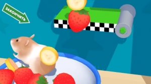 Hamster Maze. Хомяк в лабиринте