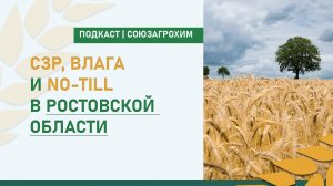 СЗР, влага и no-till в Ростовской области | Подкаст | Союзагрохим