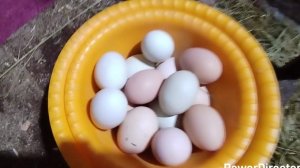 16-03-2026 Жизнь в деревне / боюсь не выдержу и уберу.