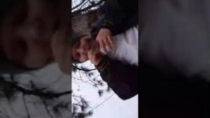 Показываю школу