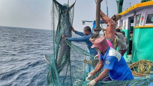 Мы провели в открытом море уже тринадцатый день и поймали огромную рыбу