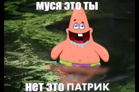 Муся это ты?
озвучивала я если что😛