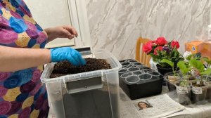 Как вырастить крепкую рассаду 🌱🌱🌱 и получить богатый урожай.