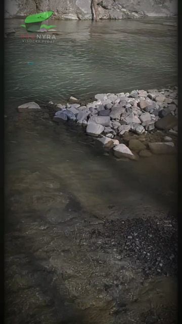 Рыбацкая танцевальная. Поплавок Высоцкого Станислава. PROnyra 2026.