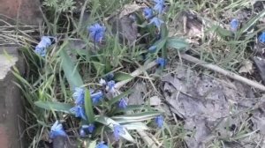 Без названия-2026-03-16_15_45_25-1.mp4