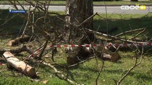 Новости на Своём от 16 марта 2026г. 10:30