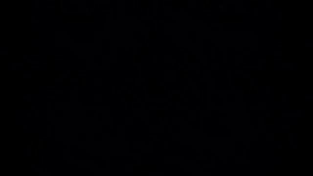 элден Pizza 3 (Птицей Гермеса меня называют, свои крылья пожирая, сам себя я укрощаю)