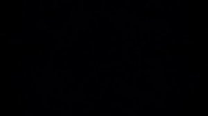 элден pizza 3 (Птицей Гермеса меня называют, свои крылья пожирая, сам себя я укрощаю)