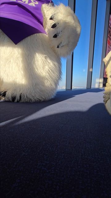 ВСЕ ХОТЯТ БУРГЕР ПАНОРАМЫЧА 😱