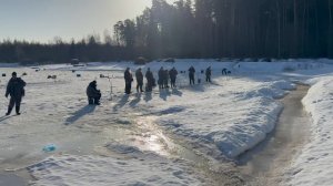 Запуск форели в акваторию !!!