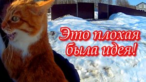 Простая жизнь в деревне. Сменила имидж. Посадка цветов.