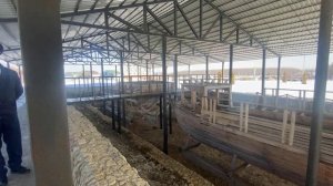 2026.03.14. Дикое поле Наумова