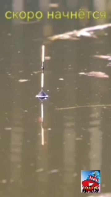 Рыбалка на карася весной.Ждём скоро начнётся 🎣