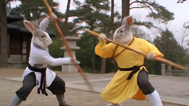 Кролики Шаолиня