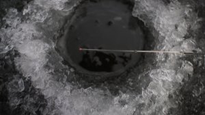 Рыба начинает шевелиться безмотылка