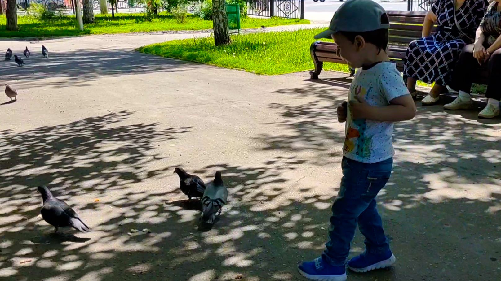 Эрик играет с голубями