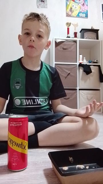 пробуем вкусняшки/первое видео