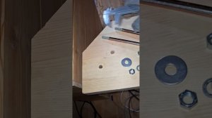 1000052102.mp4 (Собака наблюдает за устройством лестницы на 2-ой этаж в доме А-фрейм)