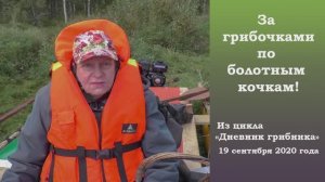 За грибочками по болотным кочкам! Дневник грибника 19 сентября 2020 года.