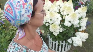 Видео привет с 6 соток 3 августа 2021 года. Пройду по цветам.