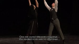 КОГДА Б НЕ МУХИ