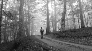 Всё тот же путь