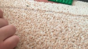 Строю lego город