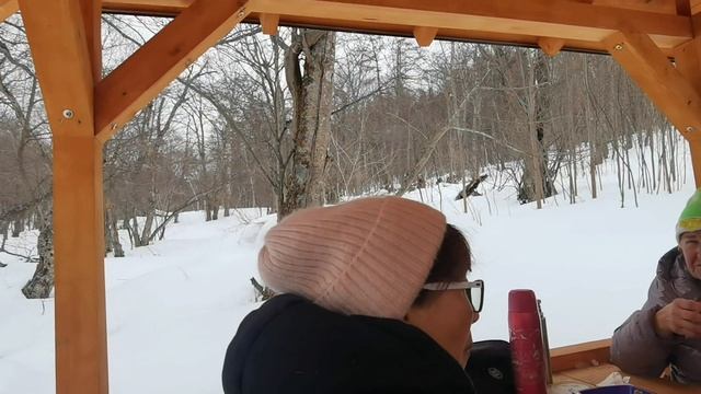 Прогулка за городом / 15 марта 2026 года / отдых в лесу