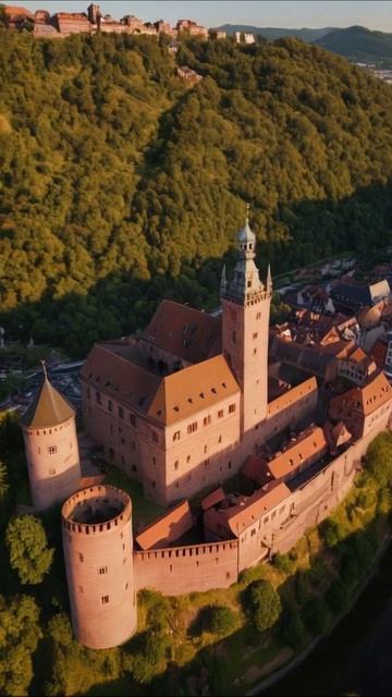 Уникальная съемка средневекового замка #замок #история #природа