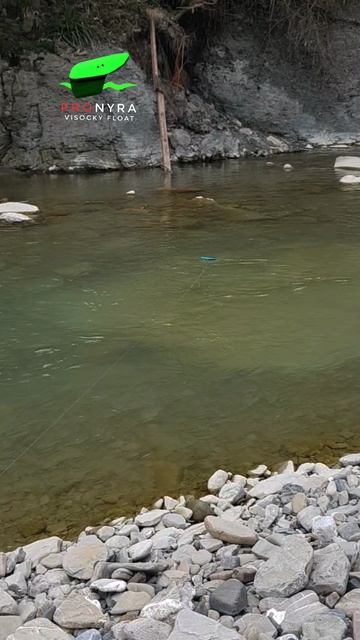 Кораблик? Санки? PROnyra 2026. Поплавок Высоцкого Станислава PROnyra #кораблик #балда #санки #сплетн