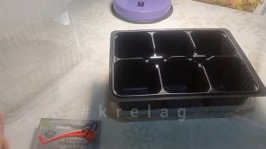 БАРХАТЦЫ🌱 на рассаду. Выбираем лучший вариант
