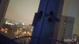 сборник видео про х собак и другое